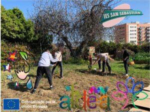 Lee más sobre el artículo TÉCNICA DE “PERMACULTIVO” EN EL ECO-HUERTO