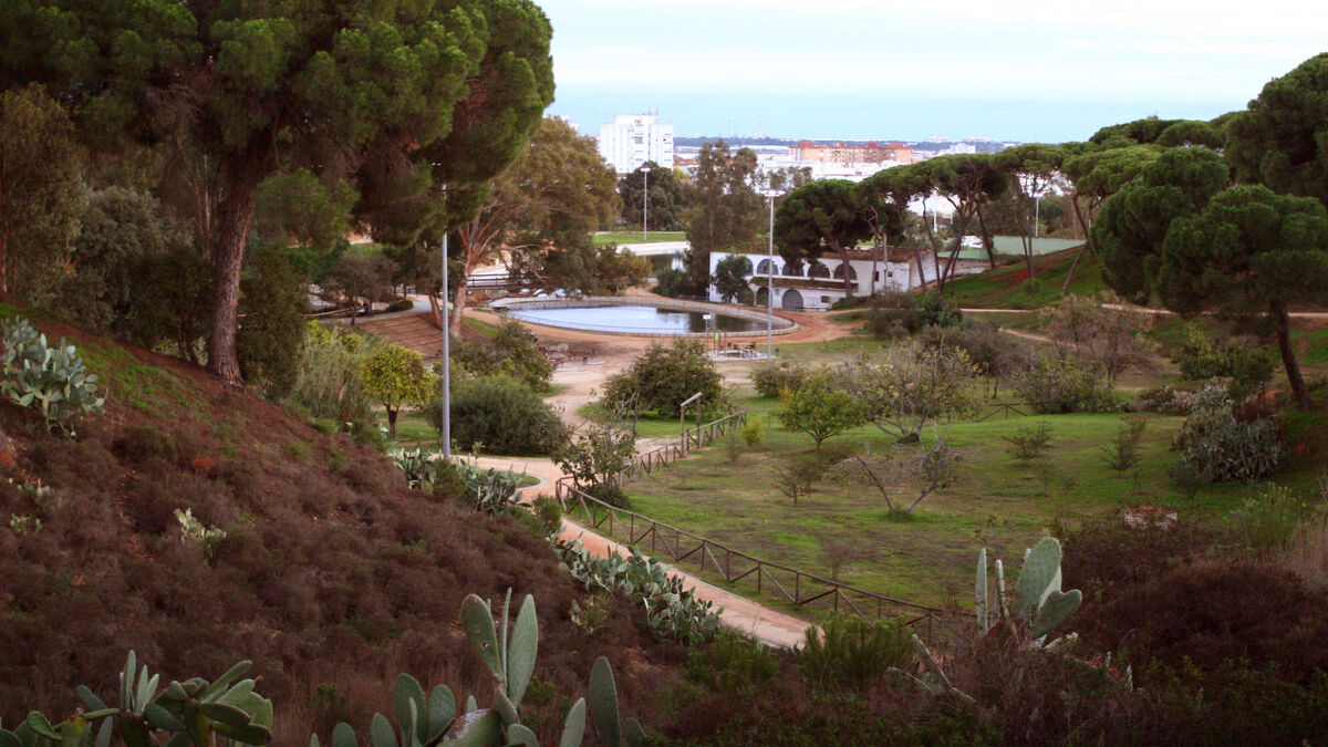 Lee más sobre el artículo REFORESTACIÓN EN EL PARQUE MORET