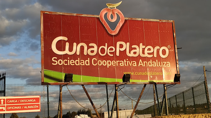 Lee más sobre el artículo VISITA COOPERATIVA CUNA DE PLATERO